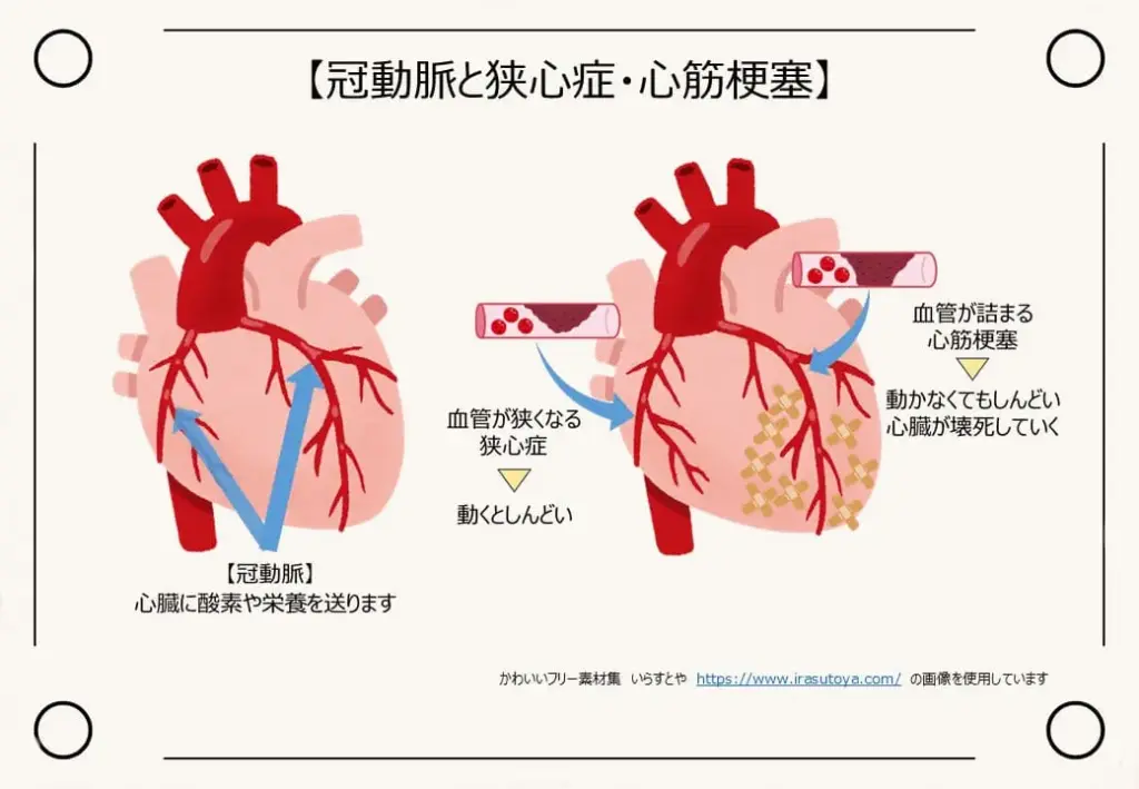 心臓3